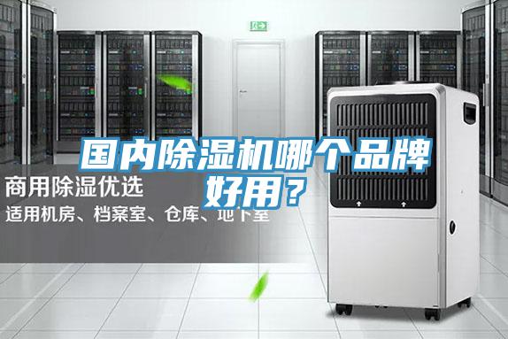 國(guó)內(nèi)除濕機(jī)哪個(gè)品牌好用？