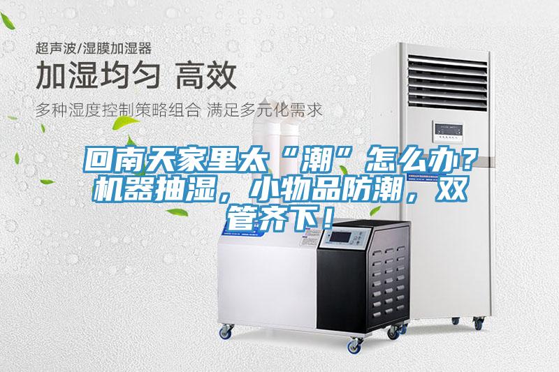 回南天家里太“潮”怎么辦？機器抽濕，小物品防潮，雙管齊下！
