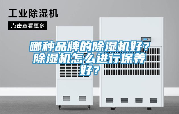 哪種品牌的除濕機好？除濕機怎么進行保養(yǎng)好？
