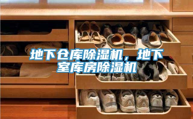 地下倉庫除濕機(jī)，地下室?guī)旆砍凉駲C(jī)