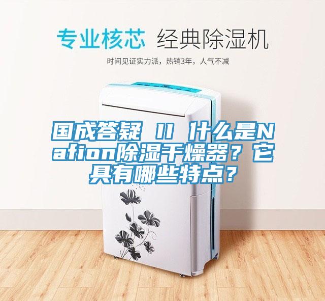 國成答疑 II 什么是Nafion除濕干燥器？它具有哪些特點？