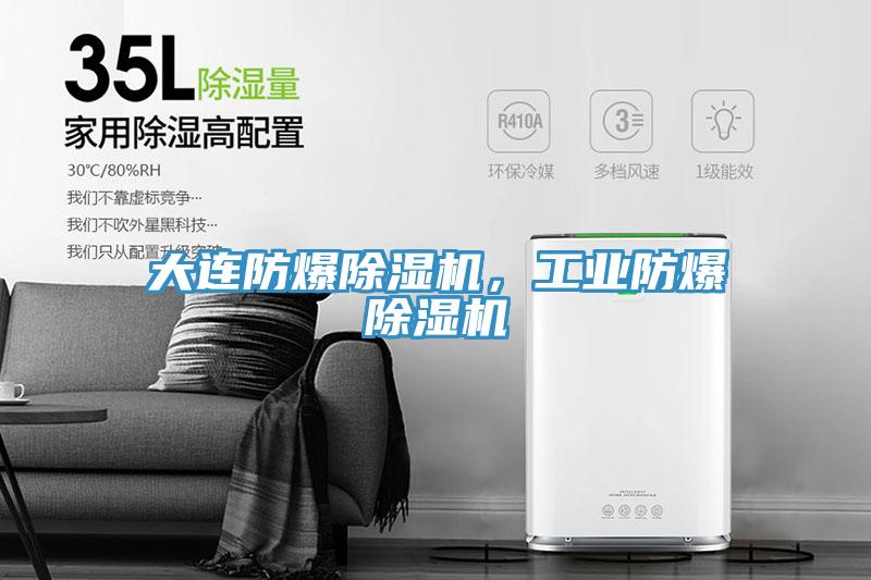 大連防爆除濕機，工業(yè)防爆除濕機