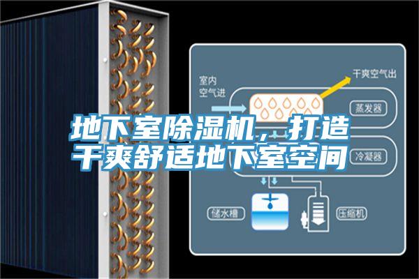地下室除濕機，打造干爽舒適地下室空間