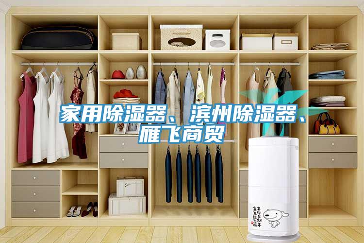 家用除濕器、濱州除濕器、雁飛商貿(mào)