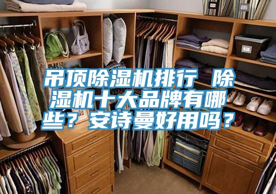 吊頂除濕機排行 除濕機十大品牌有哪些？安詩曼好用嗎？