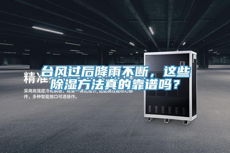 臺風過后降雨不斷，這些除濕方法真的靠譜嗎？