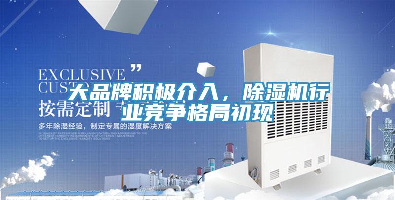 大品牌積極介入，除濕機行業(yè)競爭格局初現(xiàn)