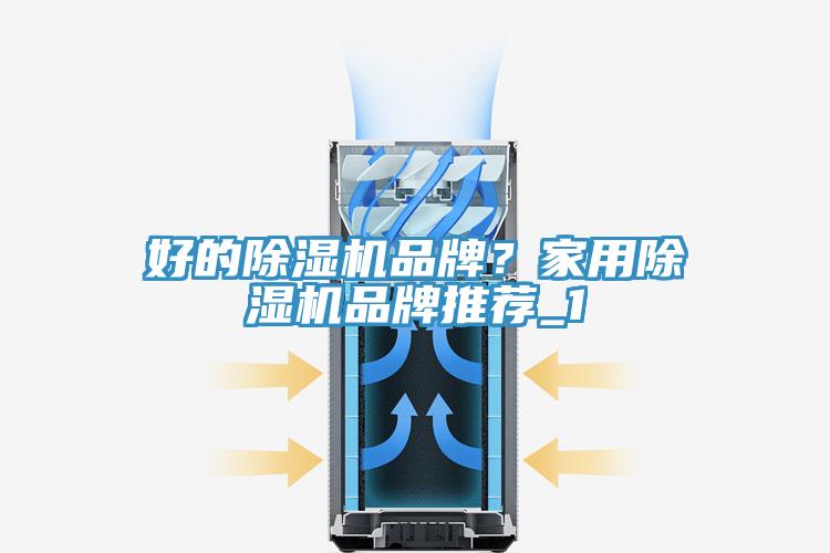 好的除濕機(jī)品牌？家用除濕機(jī)品牌推薦_1