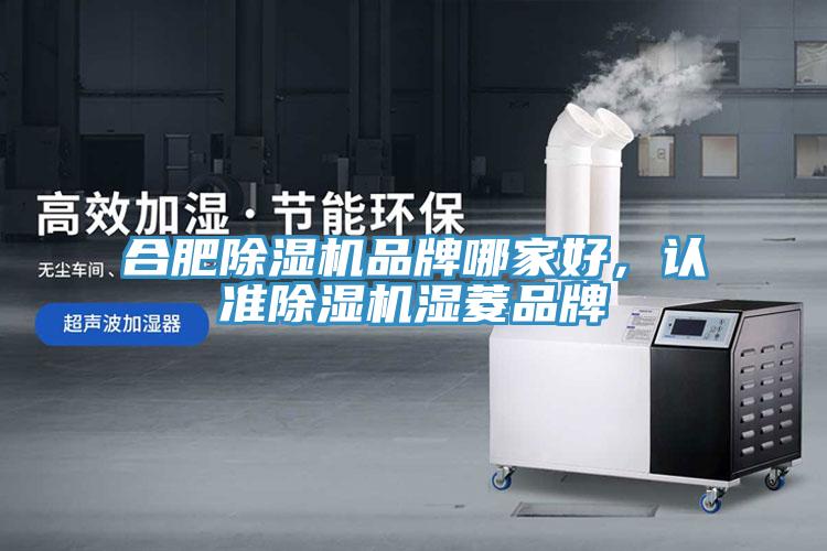 合肥除濕機品牌哪家好，認準除濕機濕菱品牌