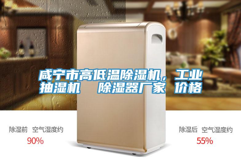 咸寧市高低溫除濕機，工業(yè)抽濕機  除濕器廠家 價格