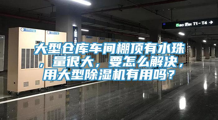 大型倉庫車間棚頂有水珠，量很大，要怎么解決，用大型除濕機有用嗎？