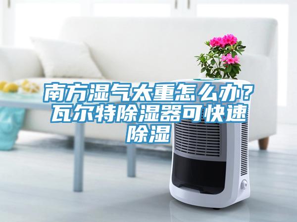 南方濕氣太重怎么辦？瓦爾特除濕器可快速除濕