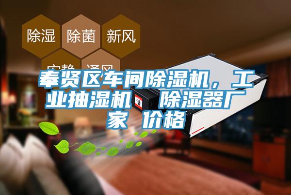 奉賢區(qū)車(chē)間除濕機(jī)，工業(yè)抽濕機(jī)  除濕器廠家 價(jià)格
