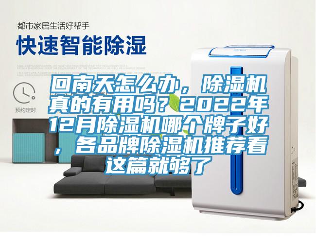 回南天怎么辦，除濕機真的有用嗎？2022年12月除濕機哪個牌子好，各品牌除濕機推薦看這篇就夠了