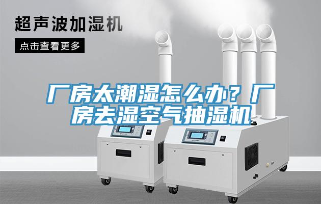廠房太潮濕怎么辦？廠房去濕空氣抽濕機