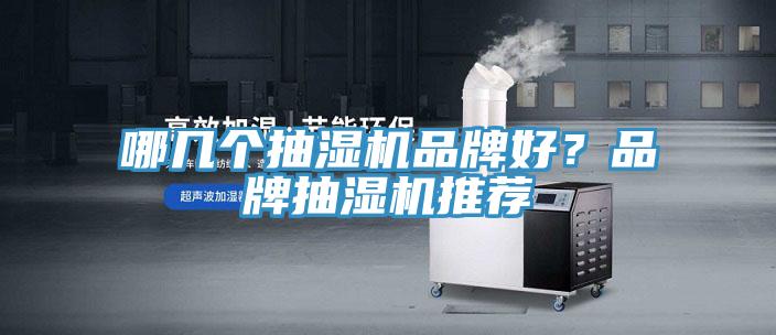 哪幾個抽濕機品牌好？品牌抽濕機推薦