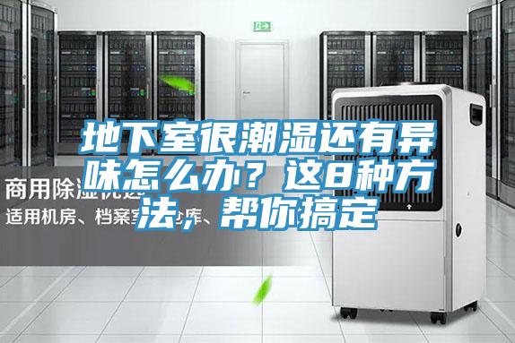 地下室很潮濕還有異味怎么辦？這8種方法，幫你搞定