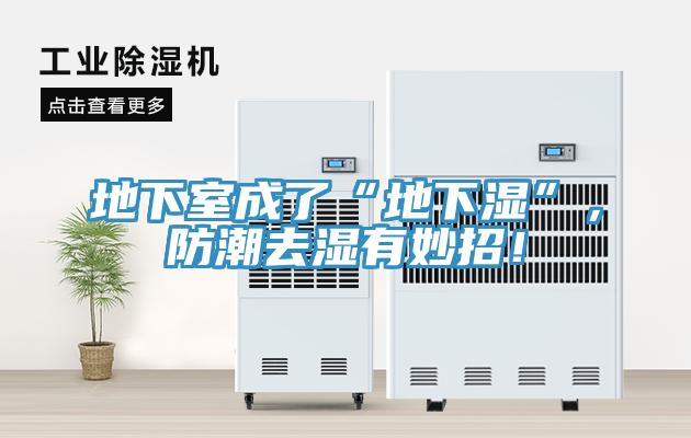 地下室成了“地下濕”，防潮去濕有妙招！
