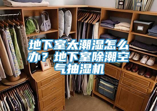 地下室太潮濕怎么辦？地下室除潮空氣抽濕機(jī)