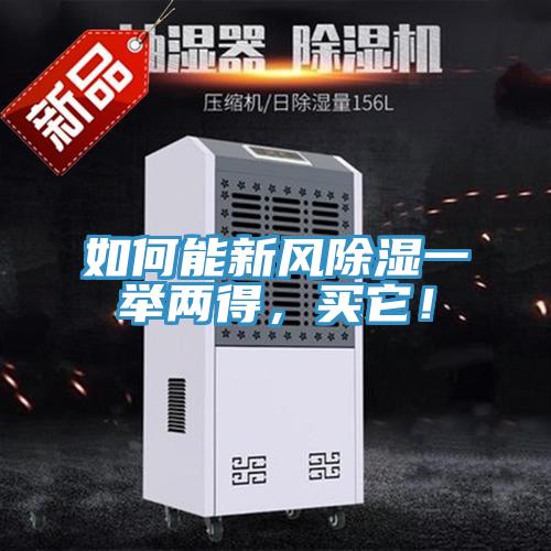 如何能新風除濕一舉兩得，買它！