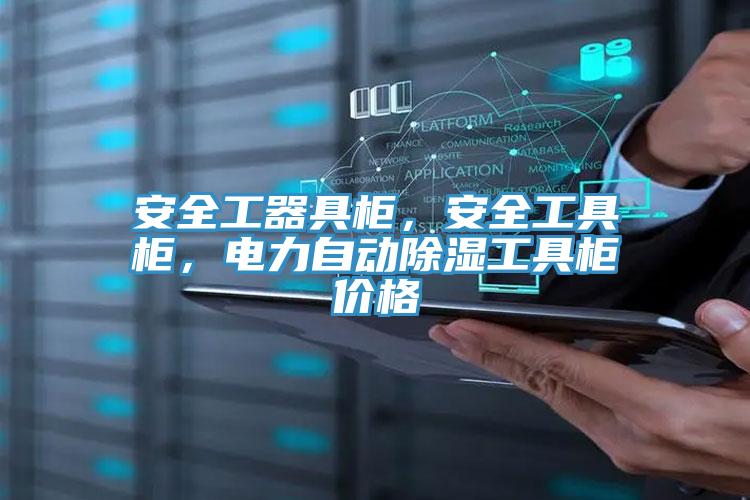 安全工器具柜，安全工具柜，電力自動除濕工具柜價格