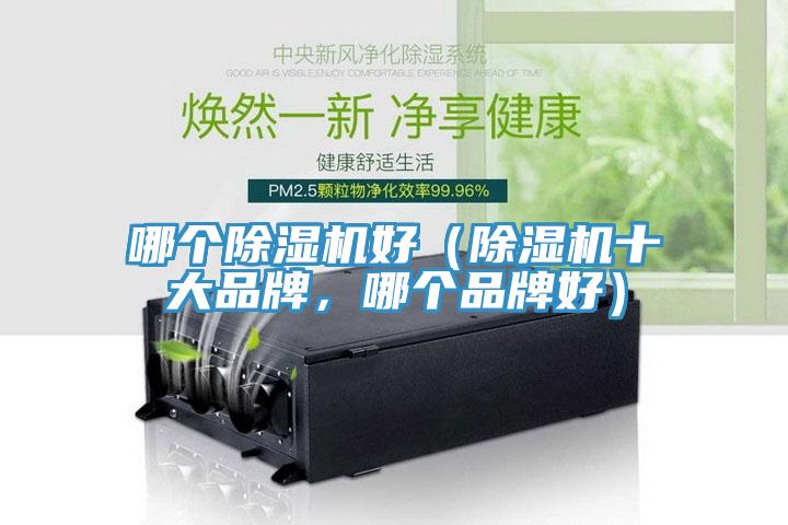 哪個(gè)除濕機(jī)好（除濕機(jī)十大品牌，哪個(gè)品牌好）