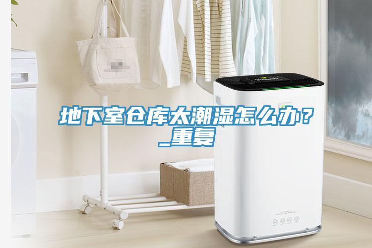 地下室倉(cāng)庫(kù)太潮濕怎么辦？_重復(fù)