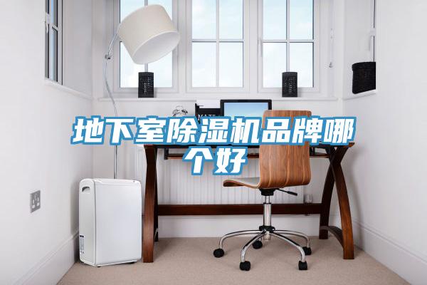 地下室除濕機(jī)品牌哪個好