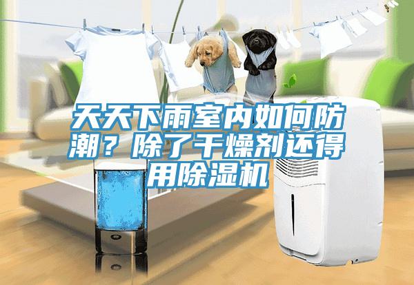 天天下雨室內(nèi)如何防潮？除了干燥劑還得用除濕機