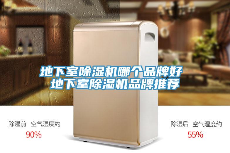 地下室除濕機(jī)哪個品牌好 地下室除濕機(jī)品牌推薦