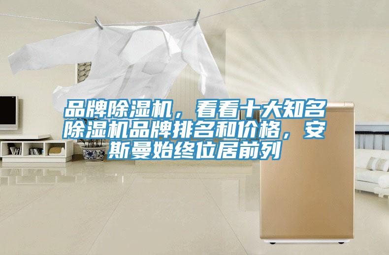 品牌除濕機，看看十大知名除濕機品牌排名和價格，安斯曼始終位居前列