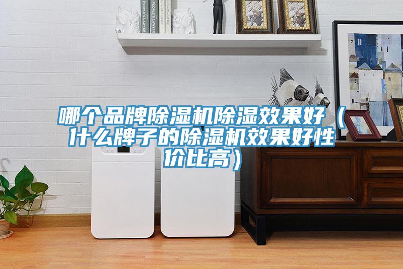 哪個(gè)品牌除濕機(jī)除濕效果好（什么牌子的除濕機(jī)效果好性?xún)r(jià)比高）