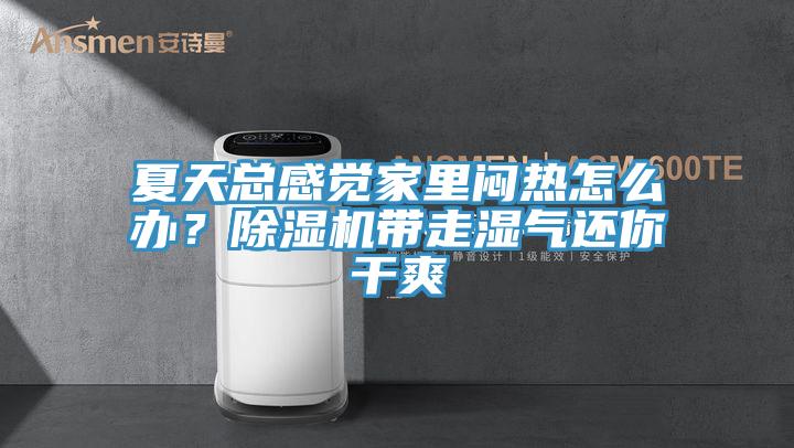 夏天總感覺家里悶熱怎么辦？除濕機帶走濕氣還你干爽