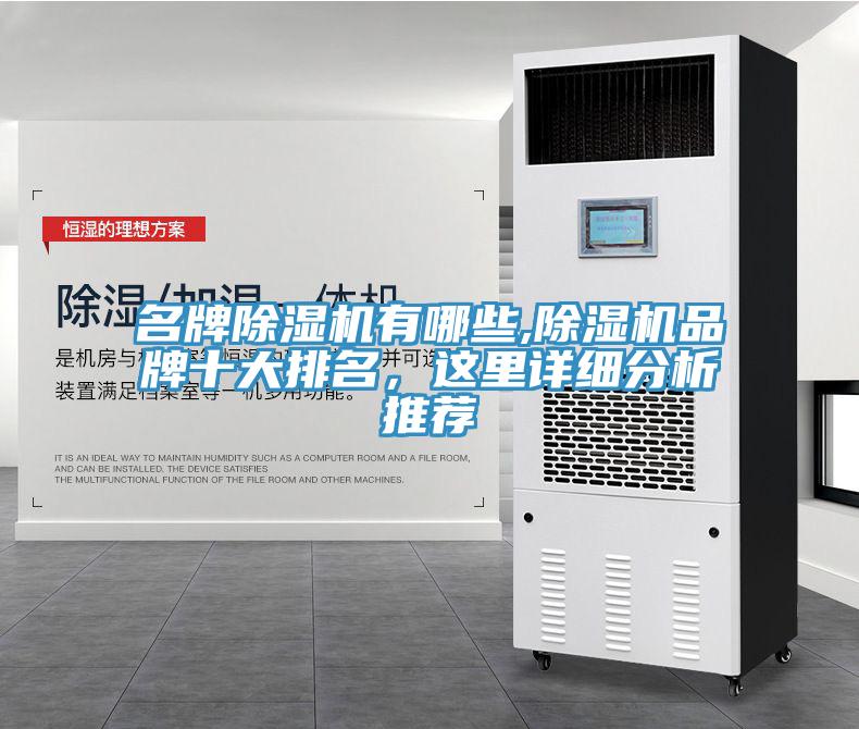 名牌除濕機有哪些,除濕機品牌十大排名，這里詳細分析推薦