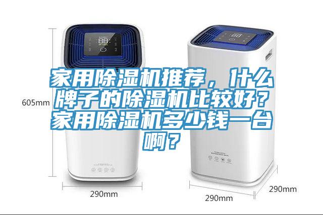 家用除濕機(jī)推薦，什么牌子的除濕機(jī)比較好？家用除濕機(jī)多少錢一臺(tái)?。?></div>
								<div   id=