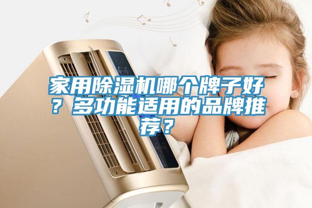 家用除濕機(jī)哪個牌子好？多功能適用的品牌推薦？