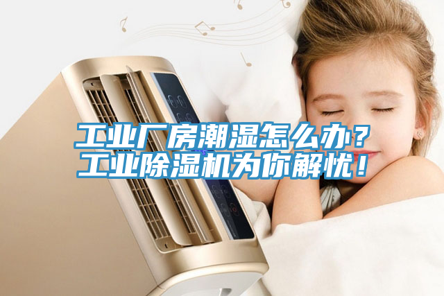 工業(yè)廠房潮濕怎么辦？工業(yè)除濕機(jī)為你解憂！