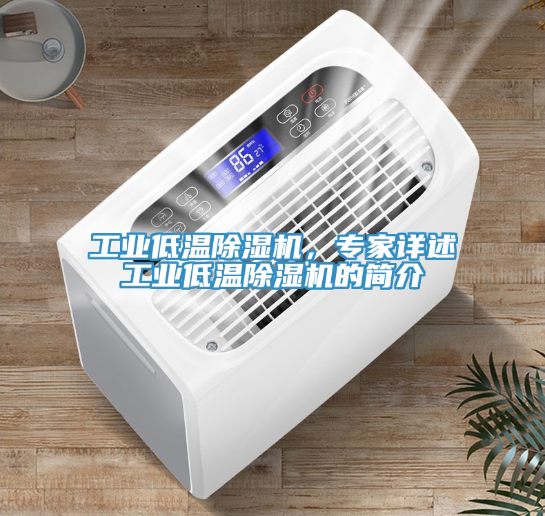 工業(yè)低溫除濕機，專家詳述工業(yè)低溫除濕機的簡介