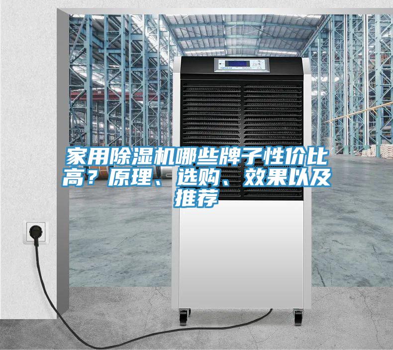 家用除濕機哪些牌子性價比高？原理、選購、效果以及推薦