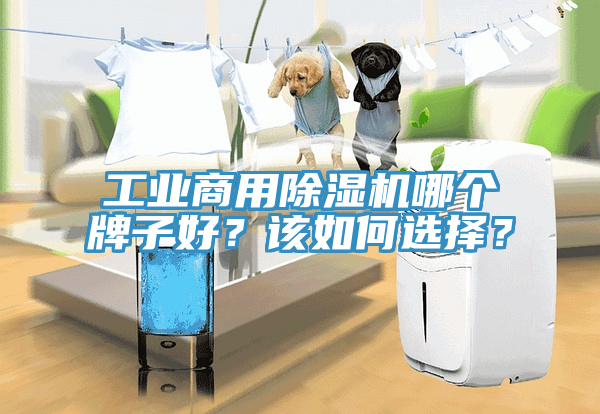 工業(yè)商用除濕機(jī)哪個(gè)牌子好？該如何選擇？