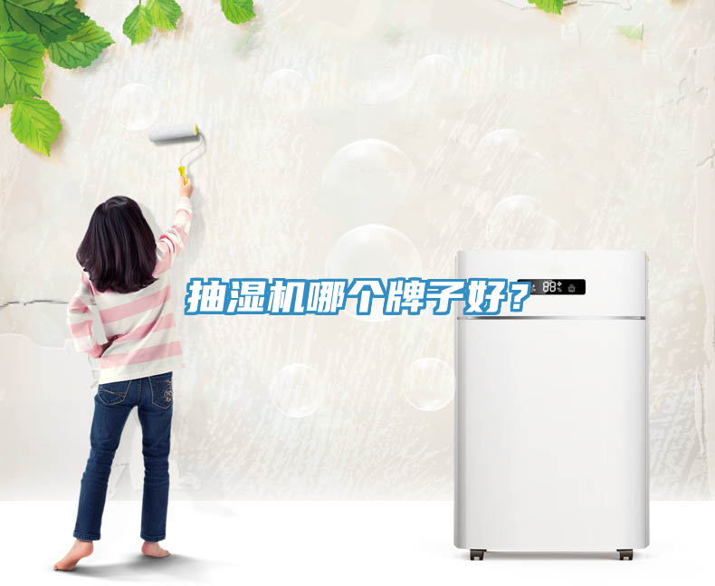 抽濕機(jī)哪個(gè)牌子好？