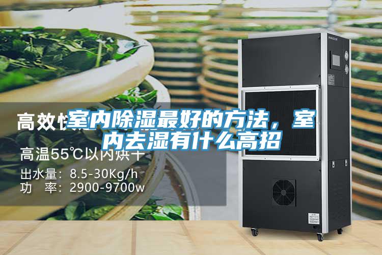 室內(nèi)除濕最好的方法，室內(nèi)去濕有什么高招