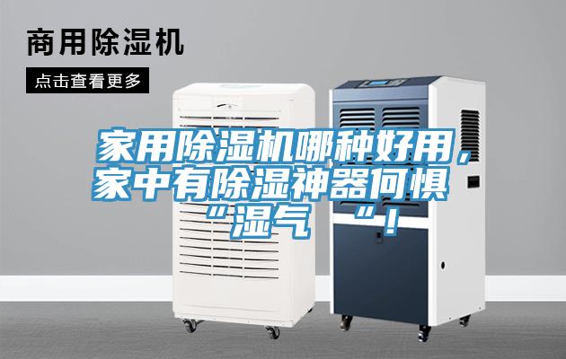 家用除濕機哪種好用，家中有除濕神器何懼 “濕氣 “！