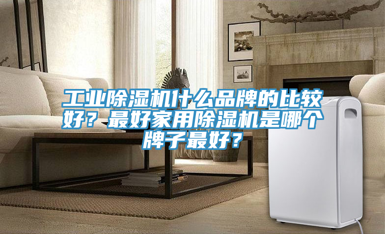 工業(yè)除濕機(jī)什么品牌的比較好？最好家用除濕機(jī)是哪個(gè)牌子最好？