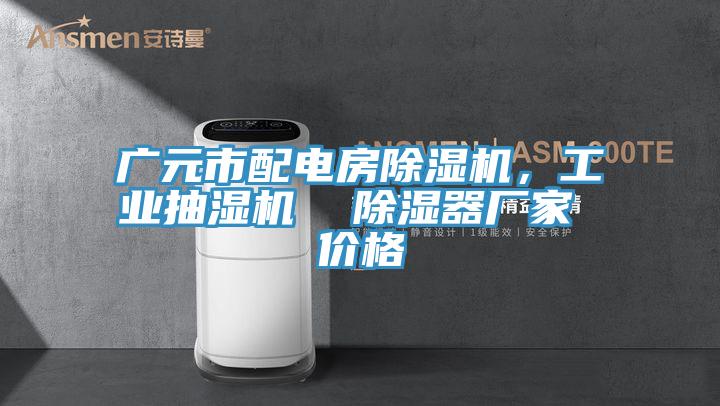 廣元市配電房除濕機(jī)，工業(yè)抽濕機(jī)  除濕器廠家 價(jià)格