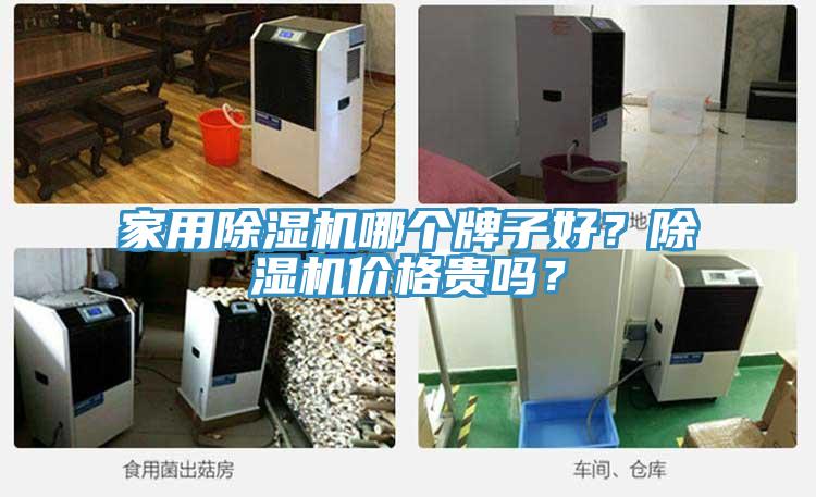 家用除濕機(jī)哪個牌子好？除濕機(jī)價格貴嗎？