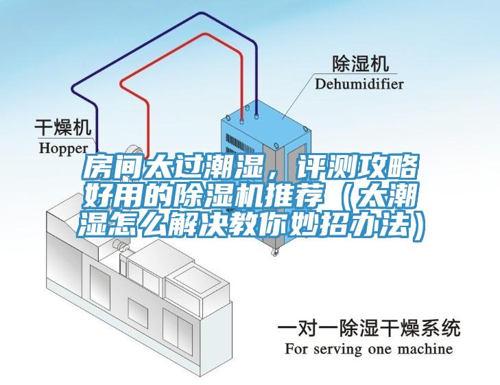 房間太過(guò)潮濕，評(píng)測(cè)攻略好用的除濕機(jī)推薦（太潮濕怎么解決教你妙招辦法）