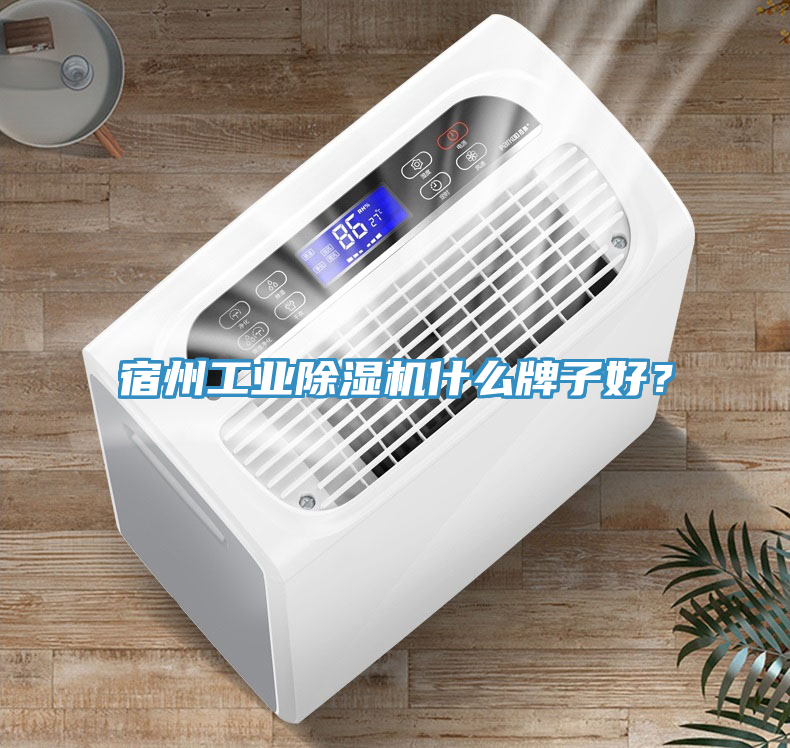 宿州工業(yè)除濕機什么牌子好？