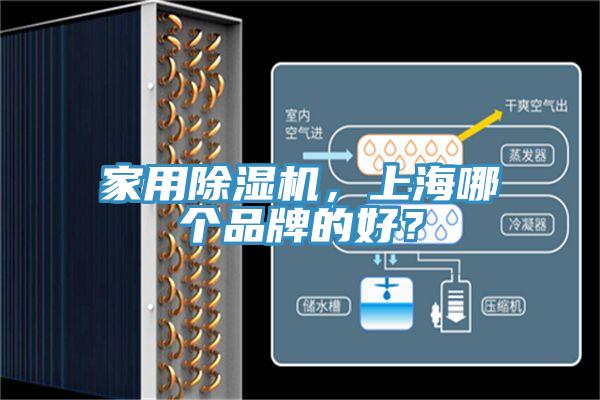 家用除濕機，上海哪個品牌的好？