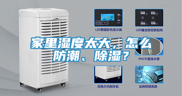 家里濕度太大，怎么防潮、除濕？